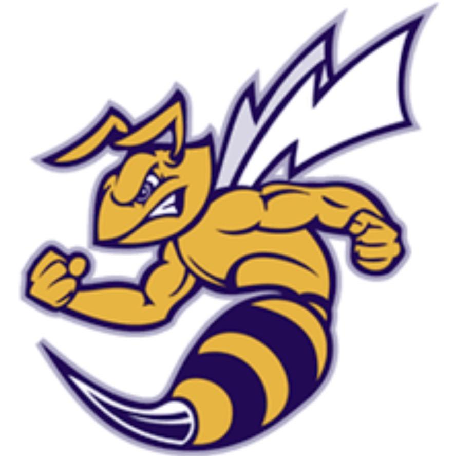 Angola Hornets mascot